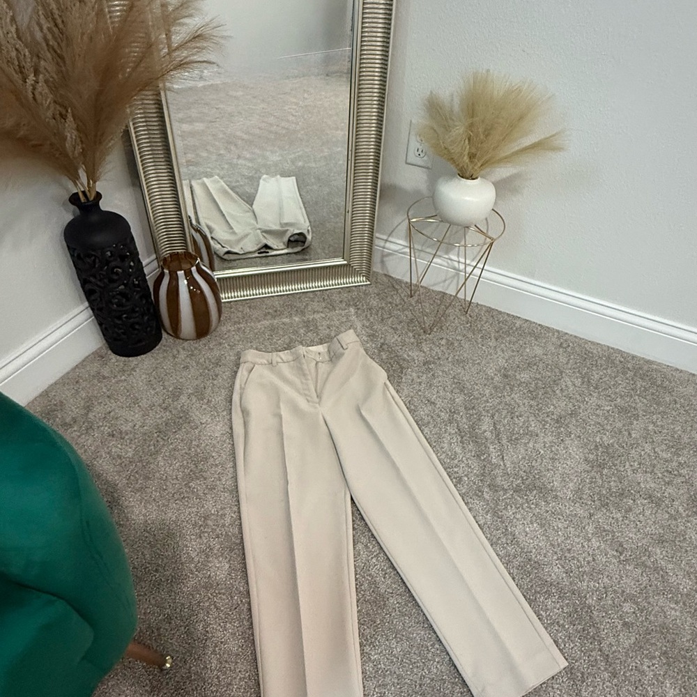 Express Light Beige Pants